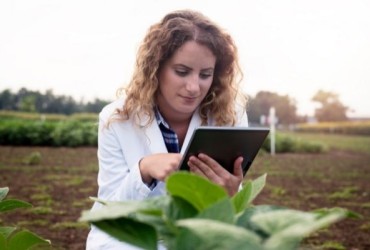 Vendas on-line no agronegócio: como começar?