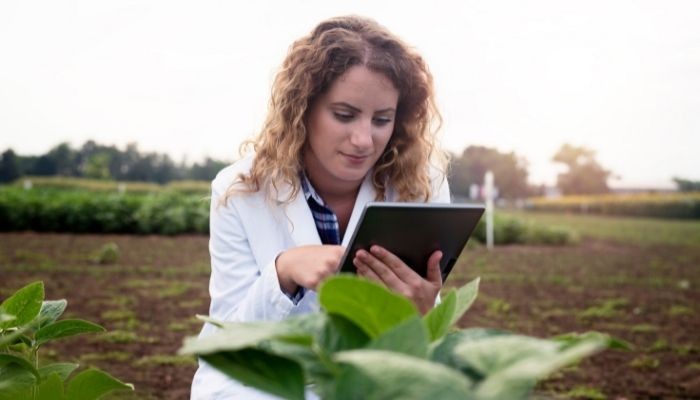  Vendas on-line no agronegócio: como começar?